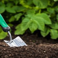 Gardening shovel in the soil