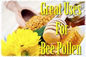 bee pollen