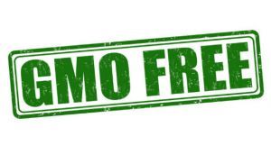 gmo free