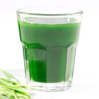 Wheat grass juice on white background