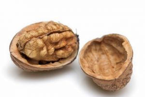 walnuts