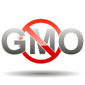 gmo