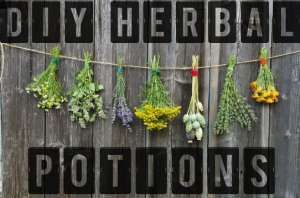 herbs