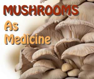 mushrooms