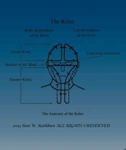 Anatomy of the Kelee