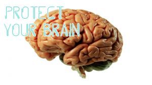 brain