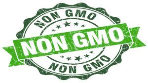 gmo