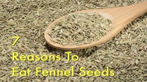 fennel seeds