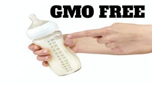 gmo free