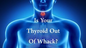 thyroid