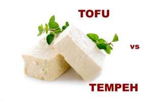 tofu