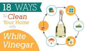 white vinegar