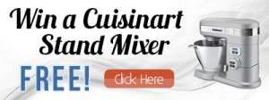 Cuisinart Mixer