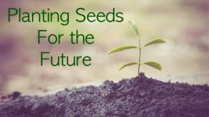 planting seeds