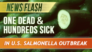 salmonellaoutbreak _640x359