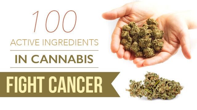 100-ActiveIngredientsCannabisFightCancer-_640x359