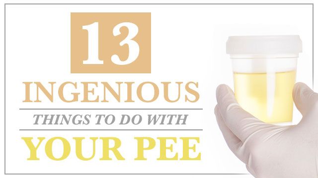 13thingstodowithyourpee_640x359