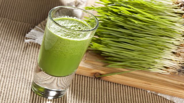 Green Organic Wheat Grass Shot