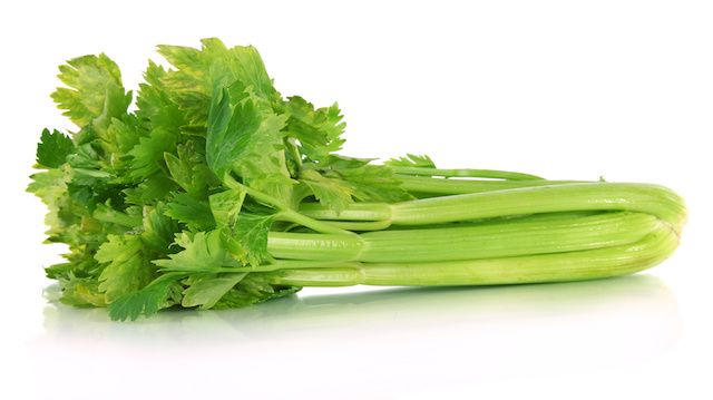 Fresh green celery isolated on white