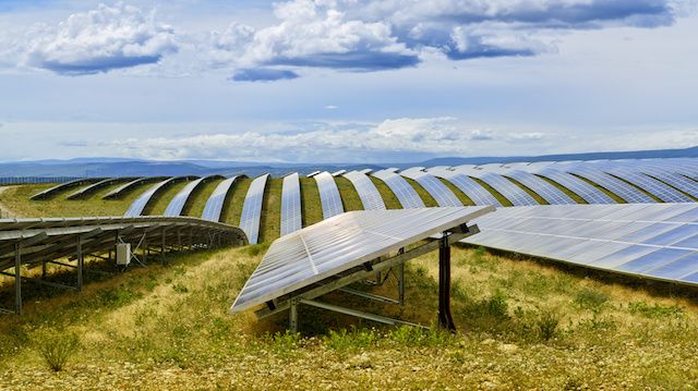 Field of solar panels