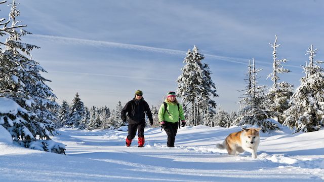 Couple hiking with dog in winter mountains