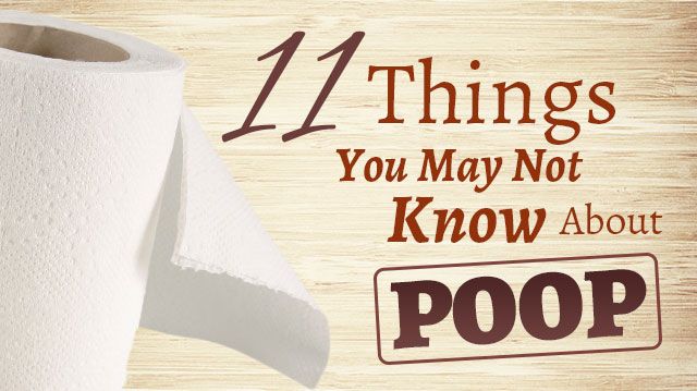 thingsyoumaynotknowaboutpoop_640x359