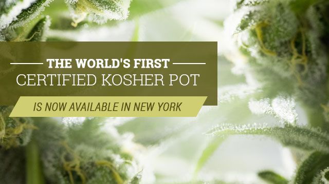 worldsfirstkosherpot_640x359