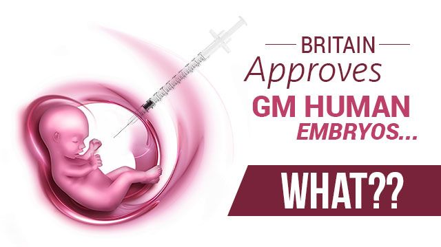 BritainApprovesGMHumanEmbryos_640x359