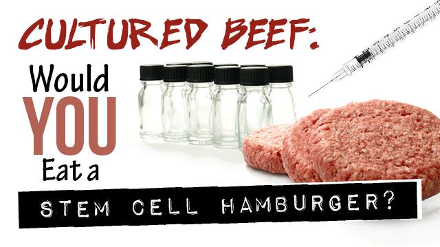 CulturedBeefWouldYouEatStemCellHamburger_640x359