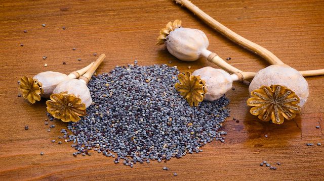 poppy seeds on wooden table