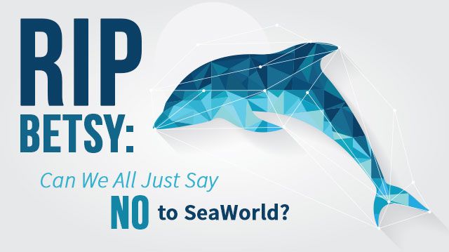 RIPBetsySayNotoSeaWorld_640x359