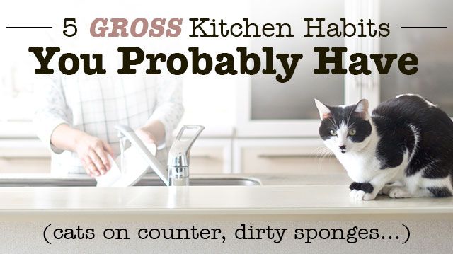 5GrossKitchenHabitsYouProbablyHave_640x359