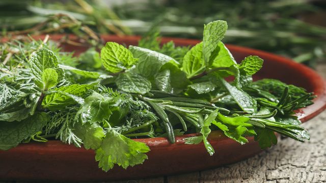 Spicy herbs in a clay dish, selective focus