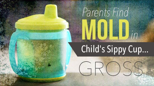 ParentsFindMoldChildsSippyCupGROSS_640x359