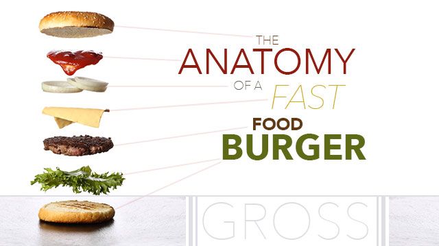 anatomyoffastfoodburger_640x359 (1)