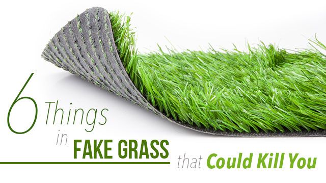 fakegrasscankillyou_640x359