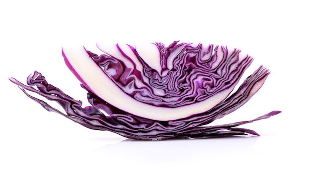 Purple cabbage