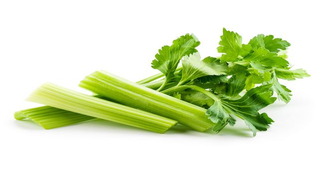 Fresh celery isolated on white background