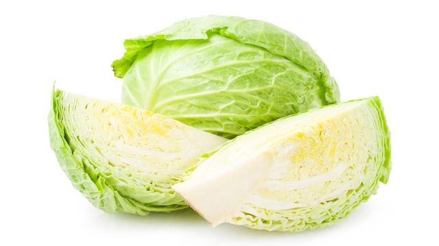 Cabbage