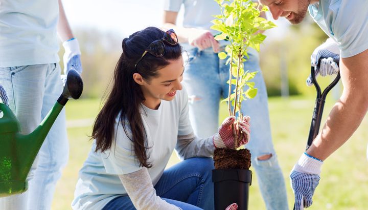 volunteer-to-help-the-environment