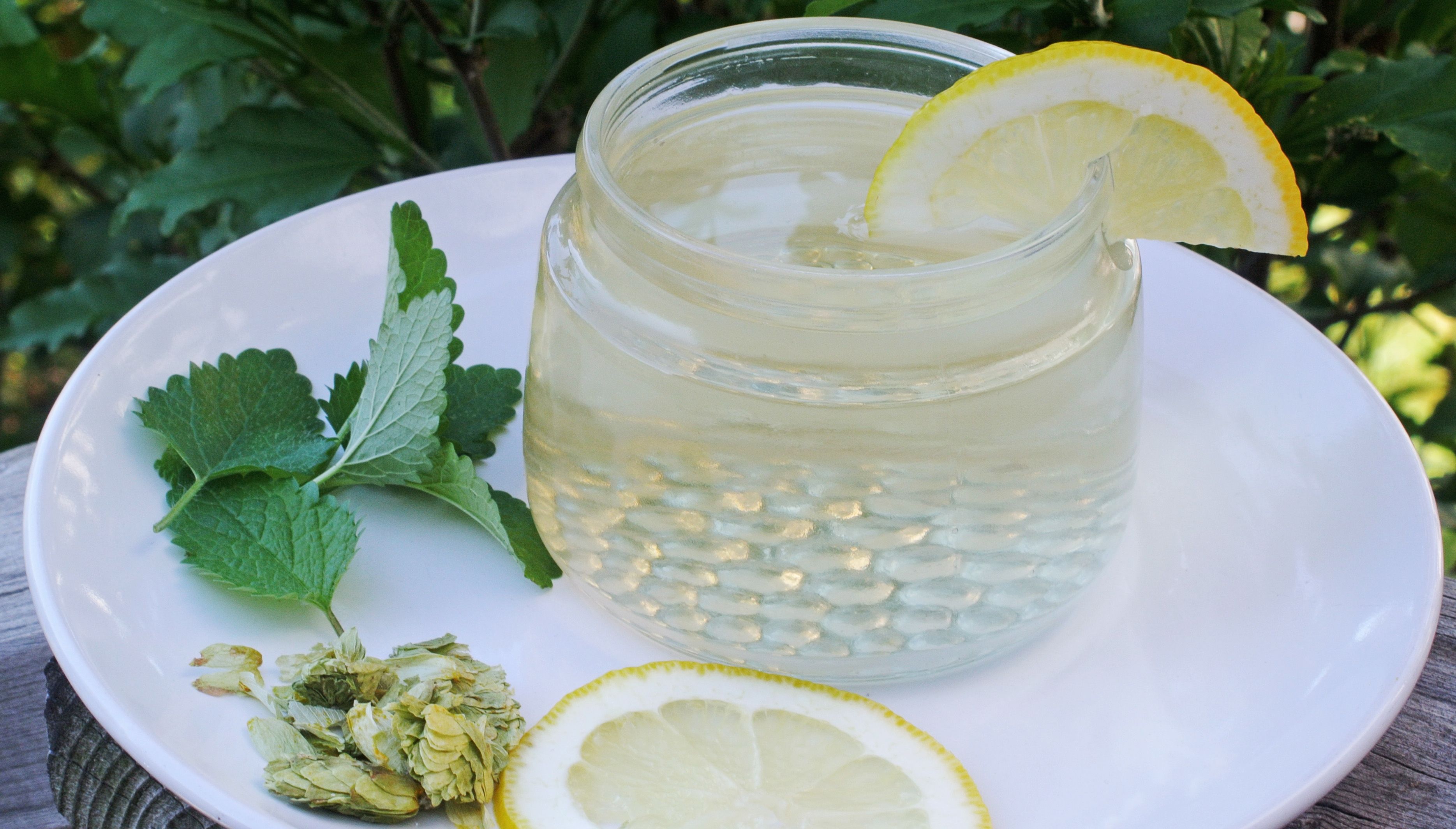 homemade-lemon-balm-tea