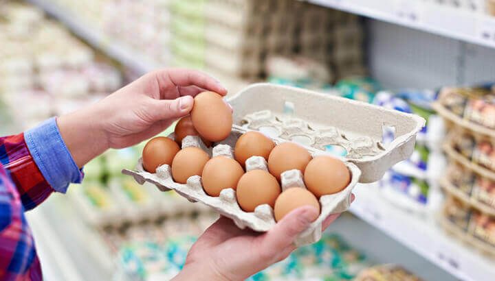 pick-out-the-highest-quality-eggs