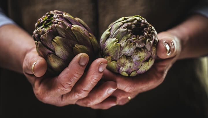 ancient-artichokes