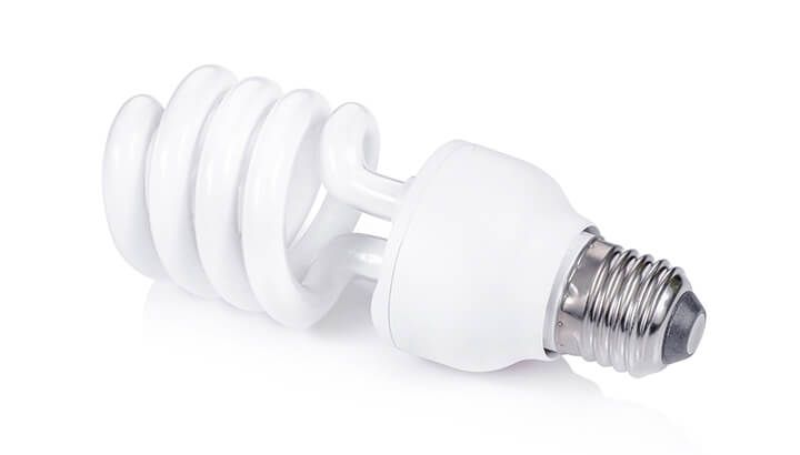 CFL Light Bulb