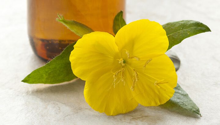 Evening primrose oil