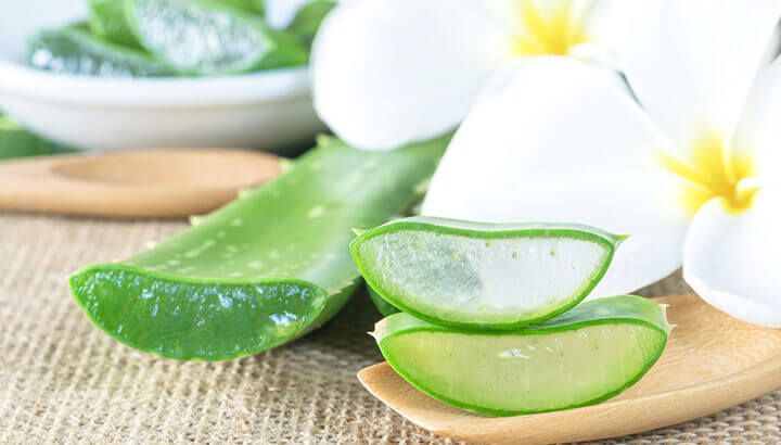 Home Remedies Aloe Vera