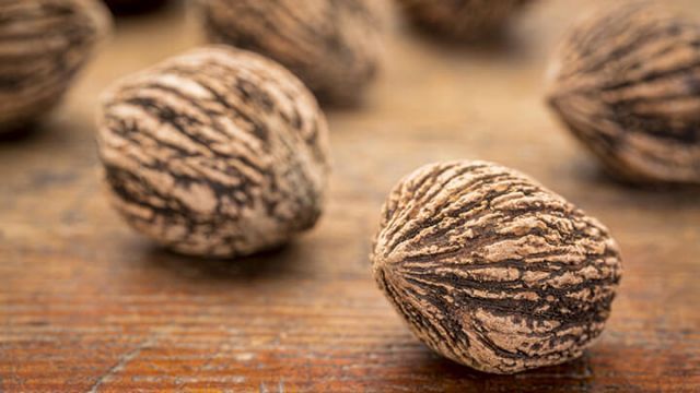 8 Surprising Health Benefits Of Black Walnuts