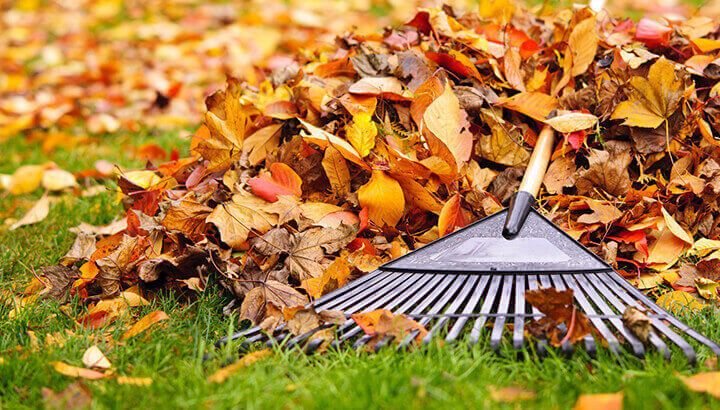 Keep In Shape Raking Leaves