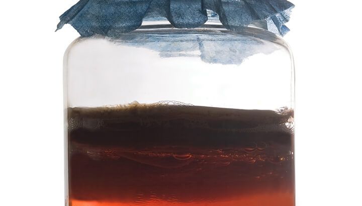 Kombucha Homemade