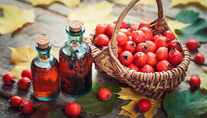 hawthorn berries tincture